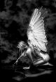 /album/fotogaleria/gothic-054-jpg/